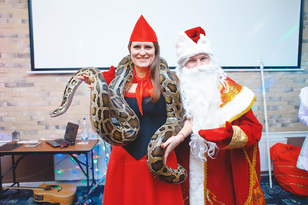 Новогодняя пионерская Зорька 2015