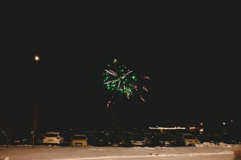 Новый год в стиле Огненной обезьяны 2016 г.