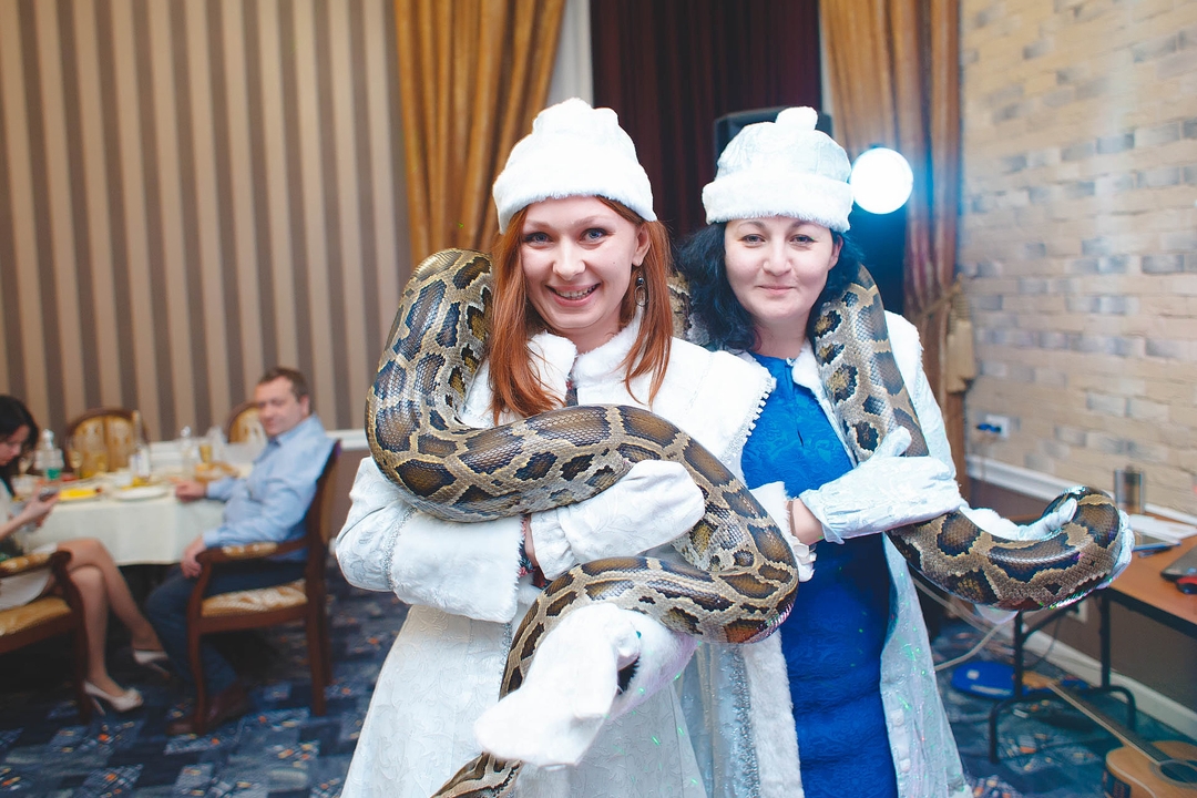 Новогодняя пионерская Зорька 2015