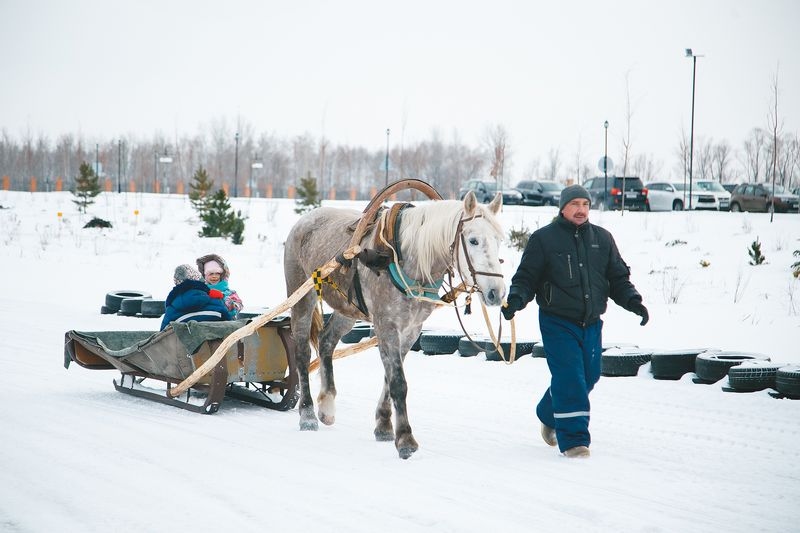 Новогодние Русские гулянья 2016 г.