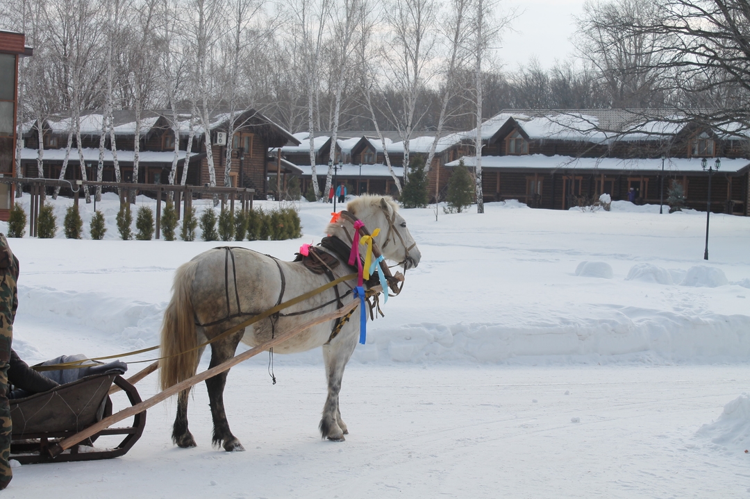 Масленица 2015