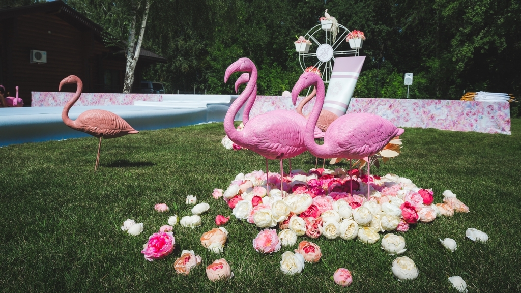 Свадьба на природе