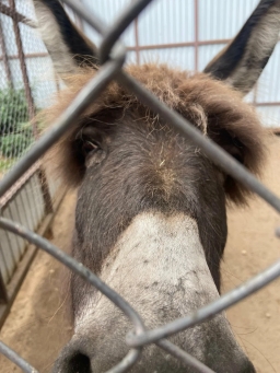 Здесь созданы все условия для отдыха
