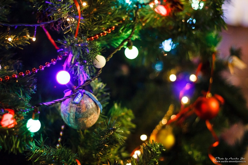 Новый год 2014