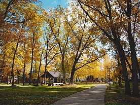 Территория отеля